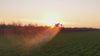 Golden Hour Video 